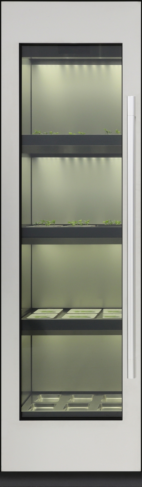 LG_Indoor_Garden_02.jpg