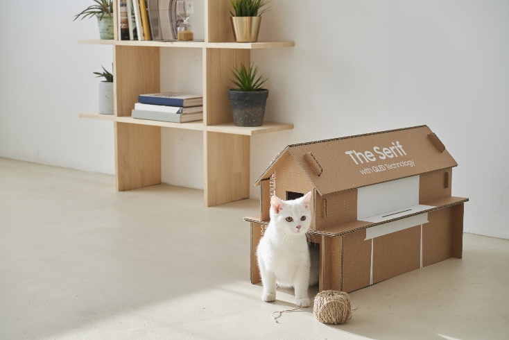 Eco-Packaging_for_QLED_Lifestyle_TV_Lineup_4.jpg