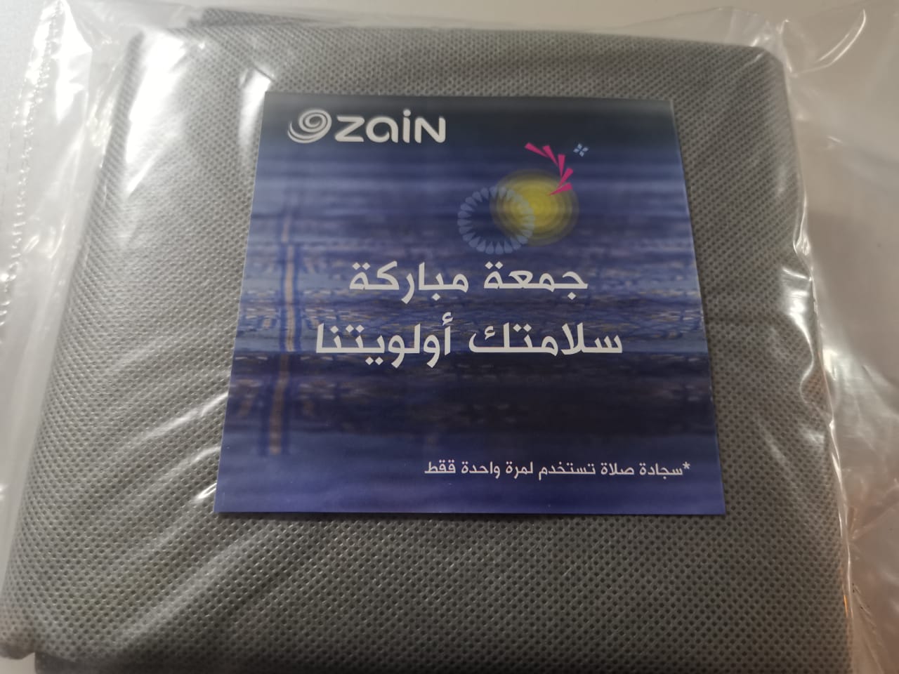 zaina1_3.jpeg