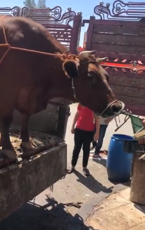 yygygygygygy - وكالة عكاظ الاخبارية