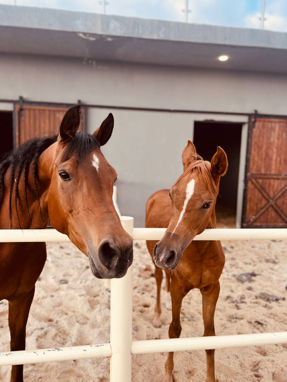 63fe19408fe99 - وكالة عكاظ الاخبارية