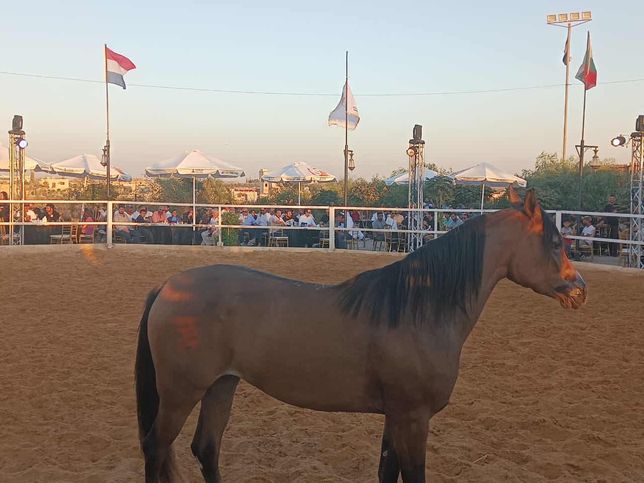 71480e1d 5a40 4fe2 9789 ddf634e32008 - وكالة عكاظ الاخبارية