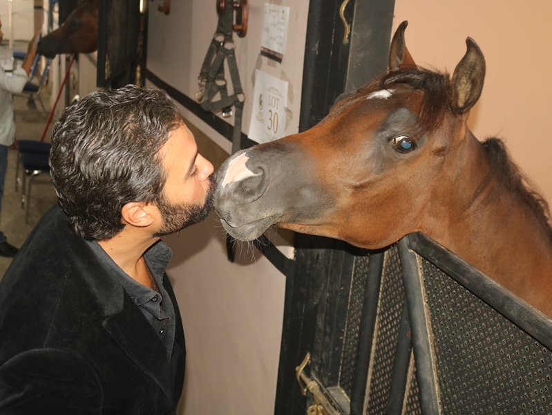 IMG 9849 - وكالة عكاظ الاخبارية