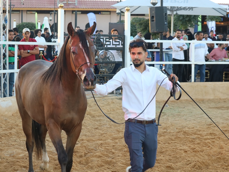 IMG 9938 - وكالة عكاظ الاخبارية