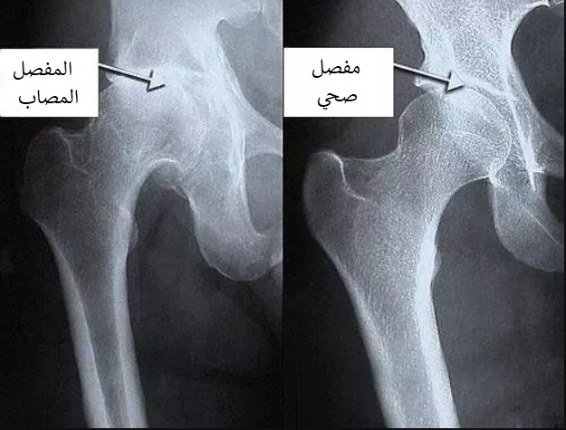 7 - وكالة عكاظ الاخبارية