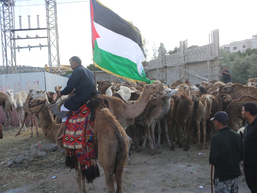 IMG 6649 - وكالة عكاظ الاخبارية