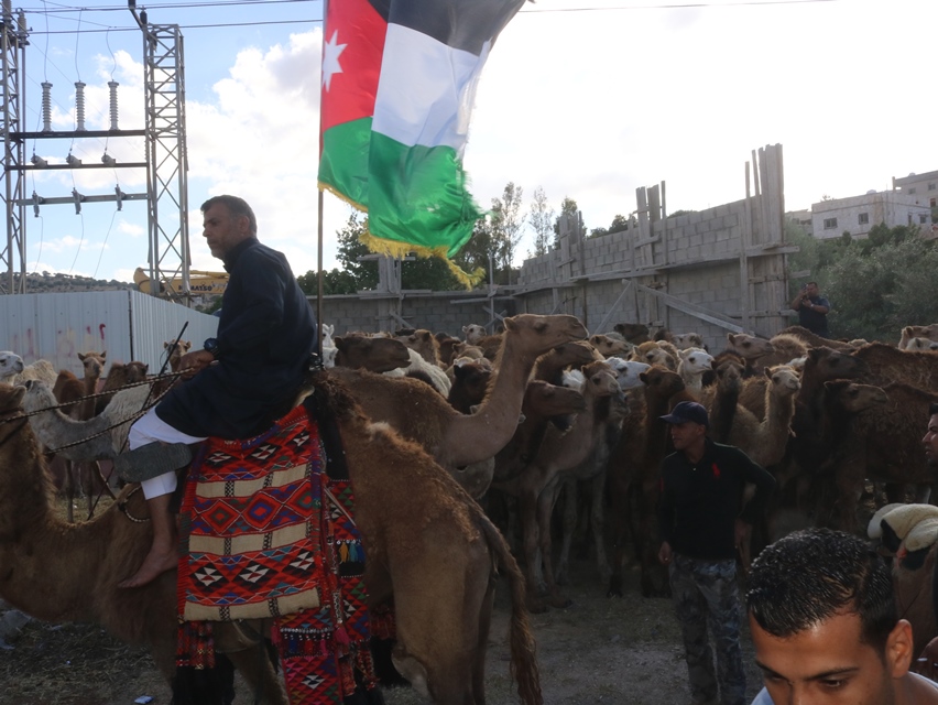 IMG 6650 - وكالة عكاظ الاخبارية