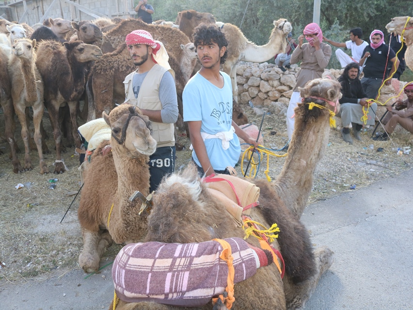 IMG 6651 - وكالة عكاظ الاخبارية