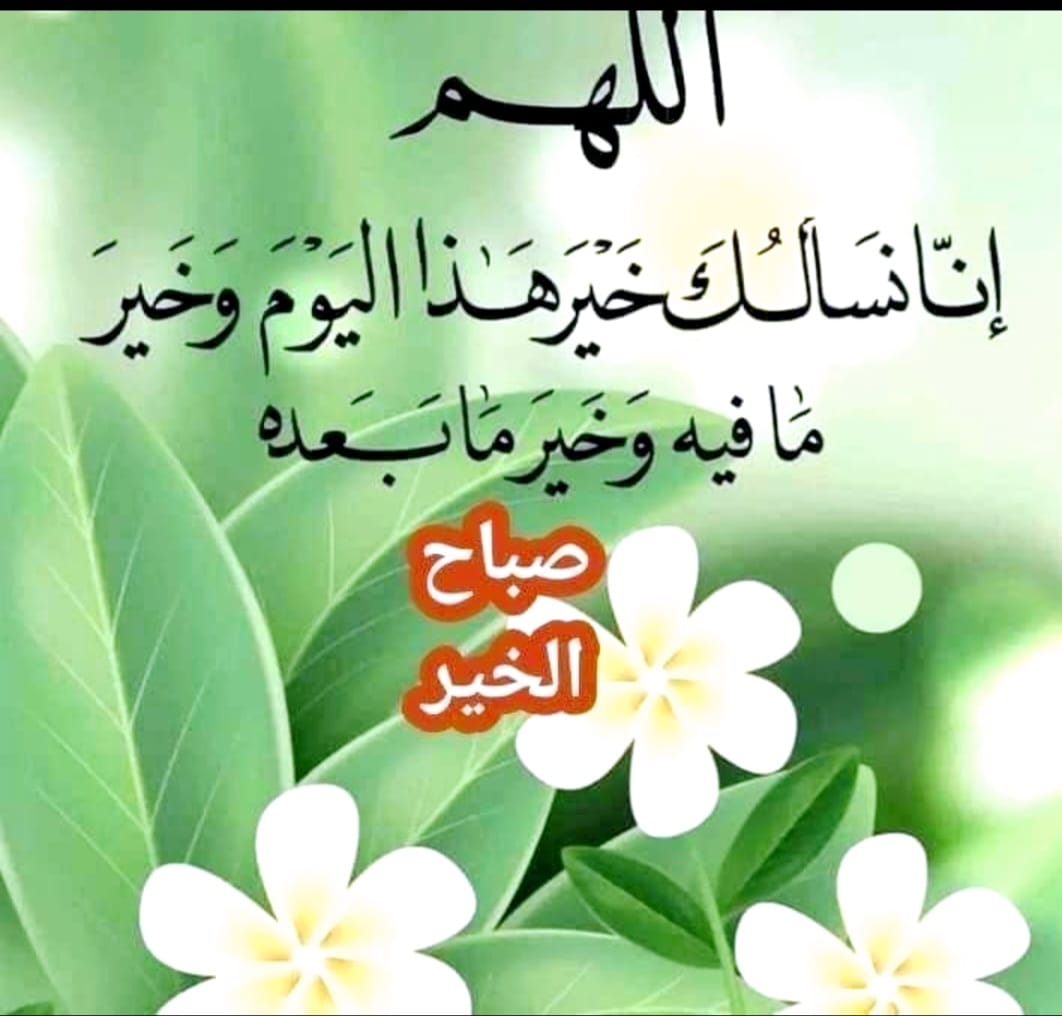 IMG 20240907 WA0159 - وكالة عكاظ الاخبارية