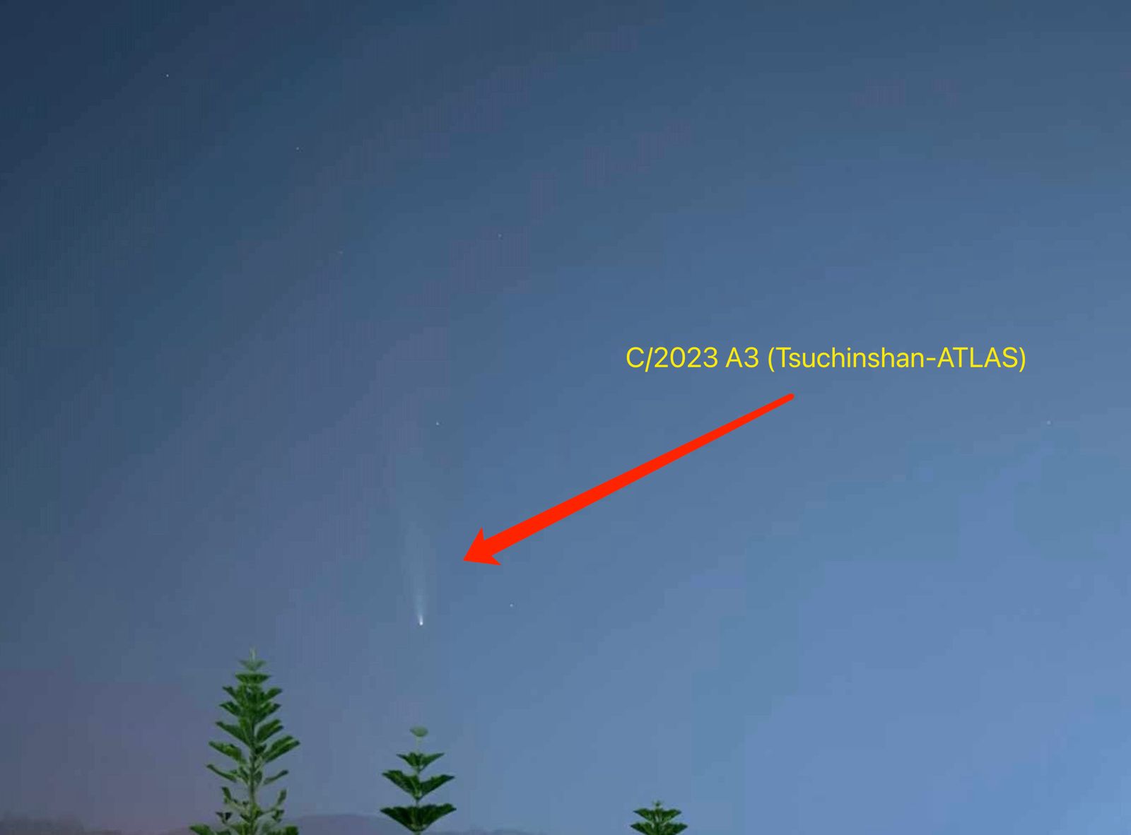 0dfb68ba 6bf4 4bae 8e34 53e69371bc12 - وكالة عكاظ الاخبارية