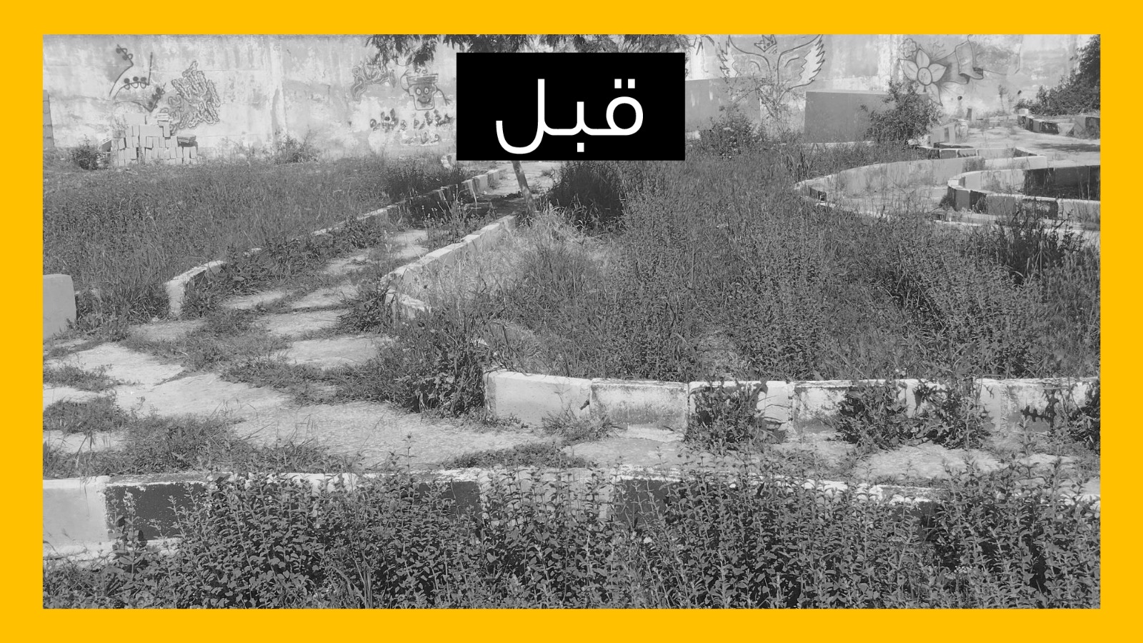 IMG 20241008 WA0403 - وكالة عكاظ الاخبارية
