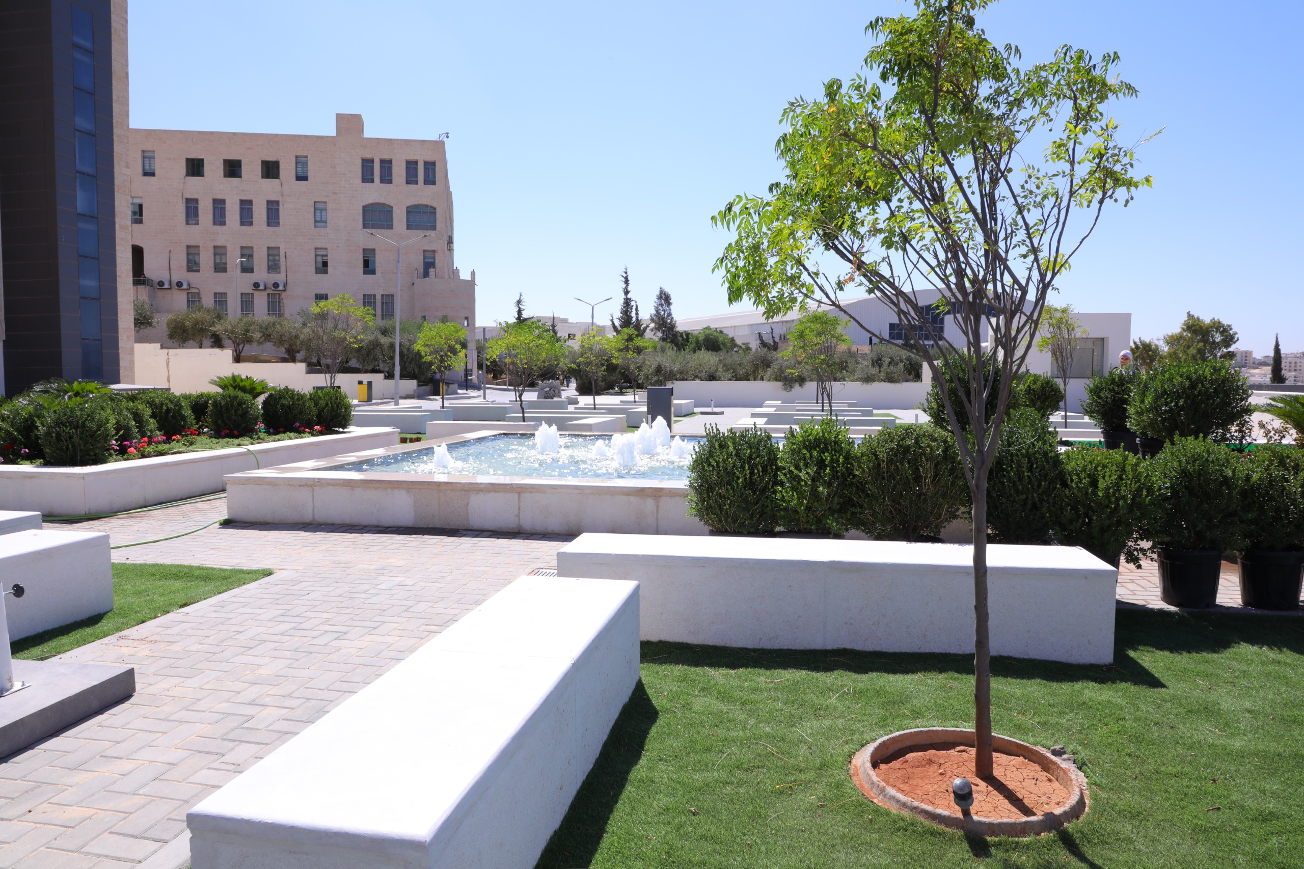 6e9e19bd b62c 4eea b4d7 1269654b74da - وكالة عكاظ الاخبارية