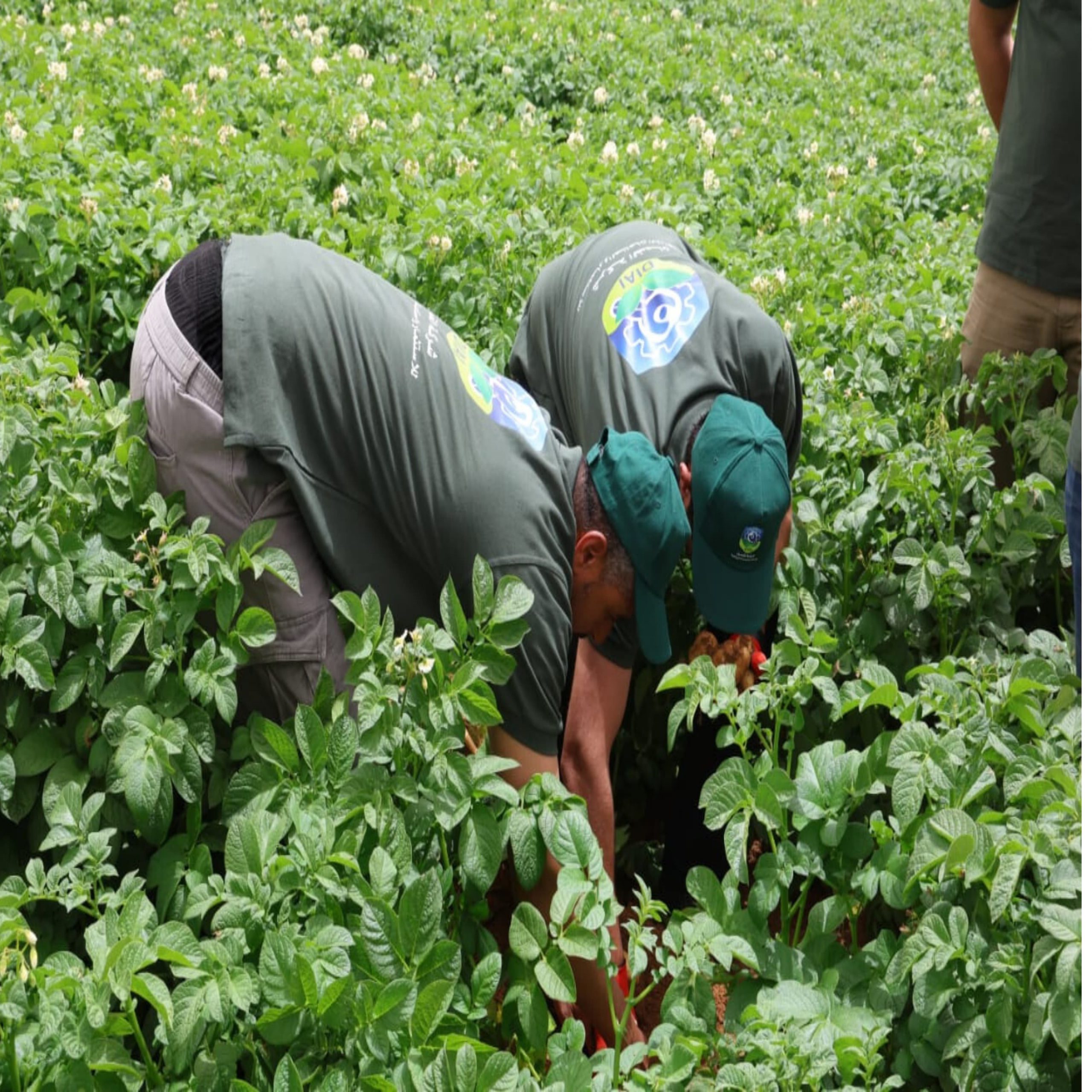 8dd072e3 ac7b 437c af80 e74b31203e07 scaled - وكالة عكاظ الاخبارية