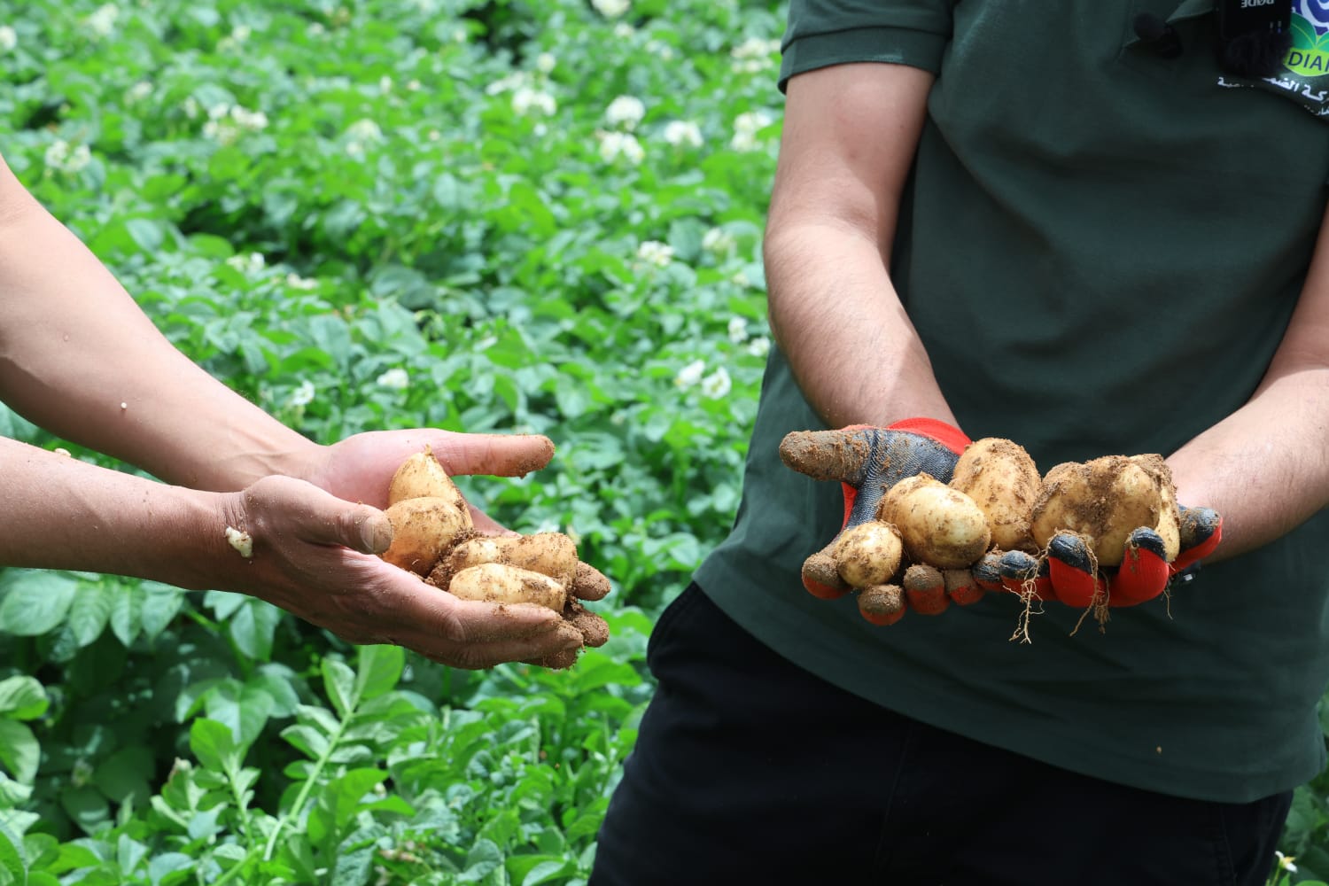 989dafef d065 4176 b5ff 32bfd908e3ab - وكالة عكاظ الاخبارية