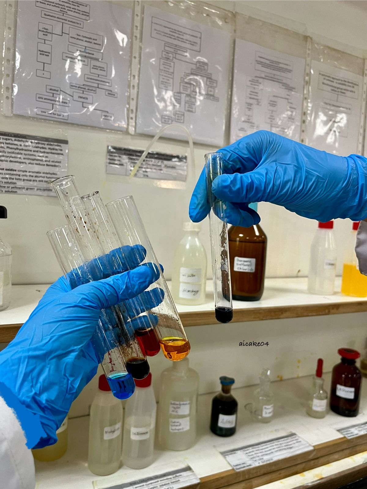 ea123693 e627 44c3 8eae ded58a6db676 - وكالة عكاظ الاخبارية