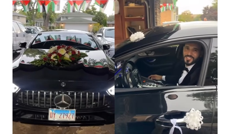 hamour 780x470 1 1 - وكالة عكاظ الاخبارية
