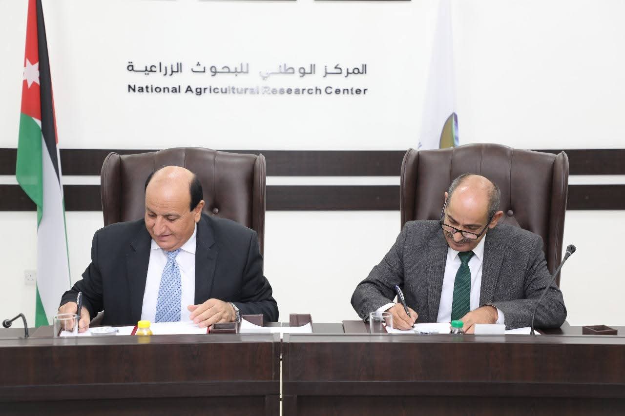90558ed5 9eed 43c3 886c d67e6e4c050b - وكالة عكاظ الاخبارية