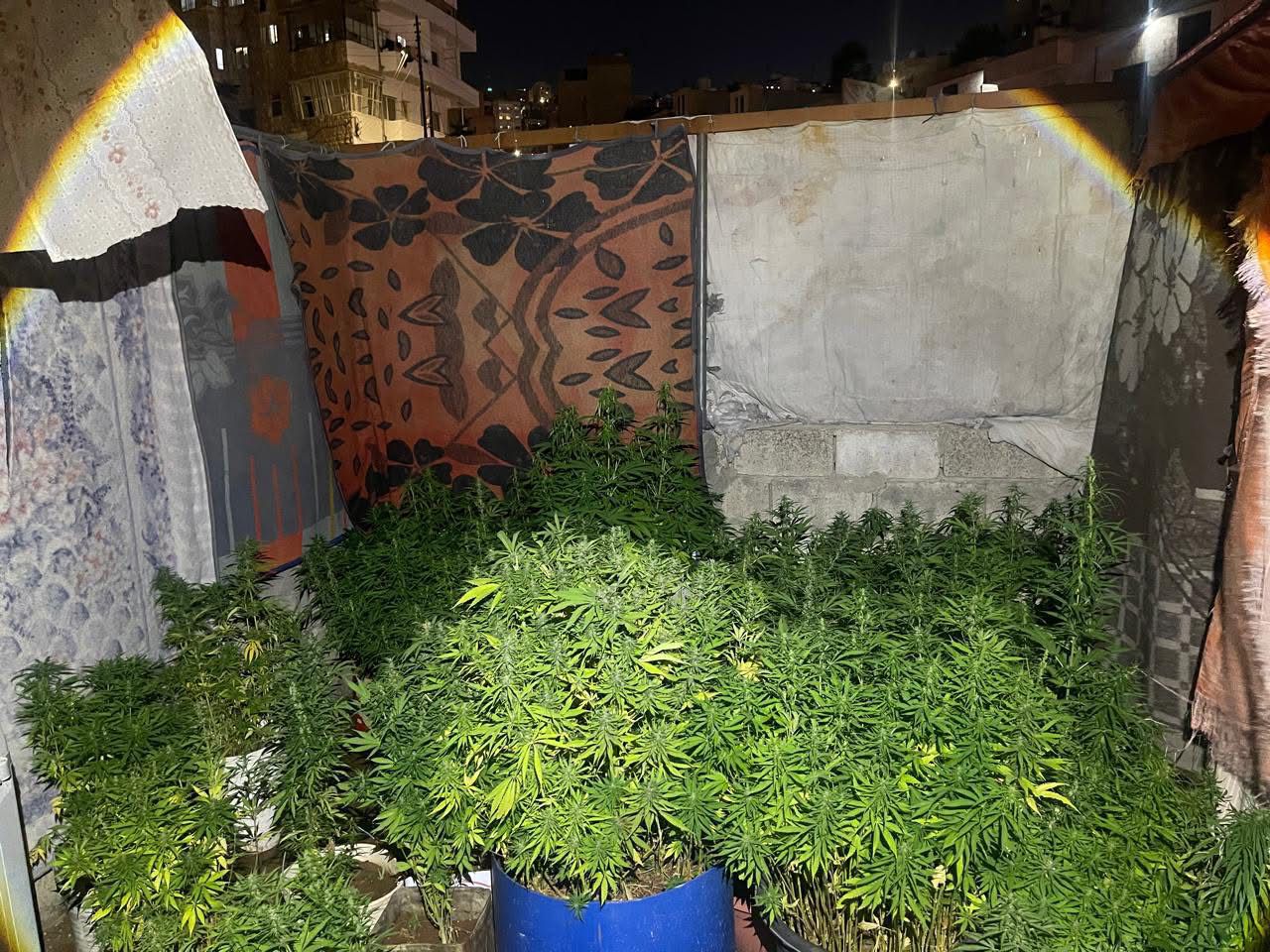 49fcbd60 7f03 4c28 8f58 95c1bd1a1d4c - وكالة عكاظ الاخبارية