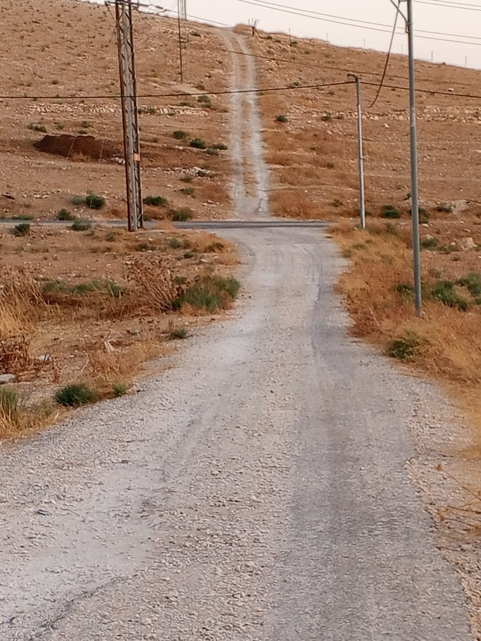 265242fb cc0d 4f4e aa6a 1cb25b1124ba - وكالة عكاظ الاخبارية