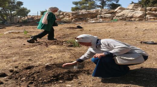 قسم اللغة الفرنسية والإنجليزية بجامعة الزيتونة يشارك في غرس مئة شجرة بالتعاون مع أمانة عمان الكبرى