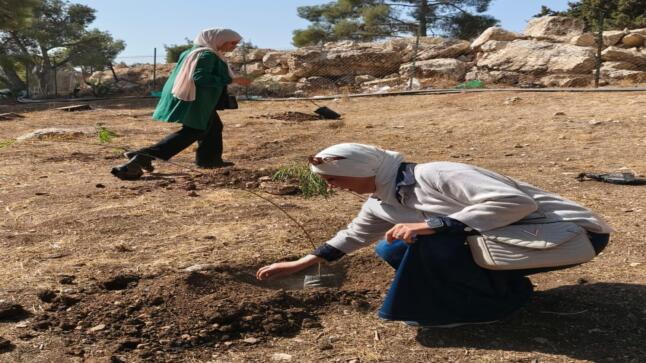 قسم اللغة الفرنسية والإنجليزية بجامعة الزيتونة يشارك في غرس مئة شجرة بالتعاون مع أمانة عمان الكبرى