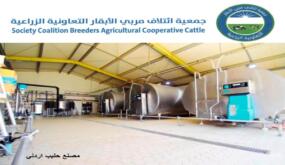 جمعية ائتلاف مربّي الأبقار: تحقيق الأردن اكتفاء ذاتيا من الحليب ومنتجاته ومعلومات غير دقيقة بـ” كتاب الزراعة  ”  