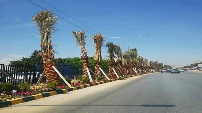 لفتة جميلة وراقية  من جامعة عمان الأهلية….  كتب : علي حياصات