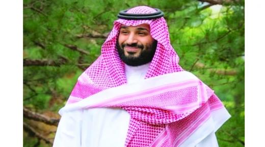 ولي العهد السعودي يبحث أكبر مبادرة تشجير في العالم مع القادة العرب