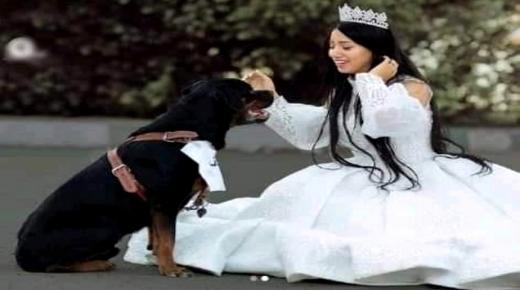 هبه مبروك فتاة مصرية تعلن زواجها من كلب – بالصور والفيديو