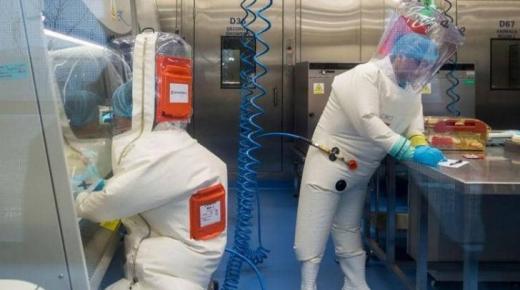 تقرير طبي عالمي يكشف مفاجاة عن وجود فيروس كورونا!