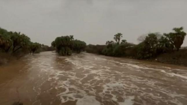 شرطة البادية الملكية تنقذ 4 مواطنين حاصرتهم السيول في منطقة الرويشد