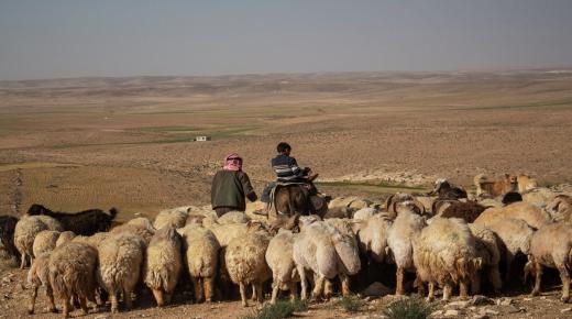 فساد بـ 40 ألف دينار في توزيع حصص الأعلاف