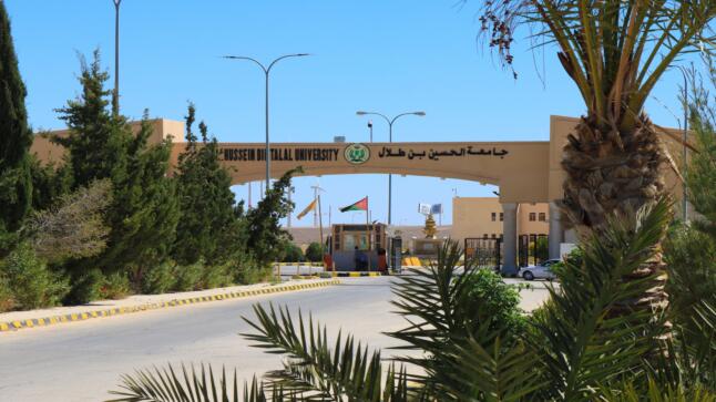 جامعة الحسين بن طلال تطلق مشروعاً بحثياً وطنياً لدراسة ظاهرة انتشار الذباب في محافظة معان