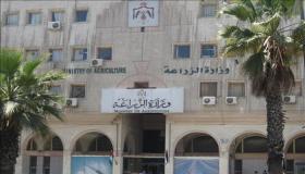 وزارة الزراعة: ما ورد بخصوص استيراد دواجن من أوكرانيا خلال فترة تعليق الاستيراد عارٍ عن الصحّة ومنافٍ للواقع