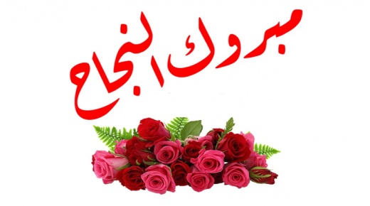 ريما هيثم الرواجفه … مبارك النجاح بالثانوية العامة