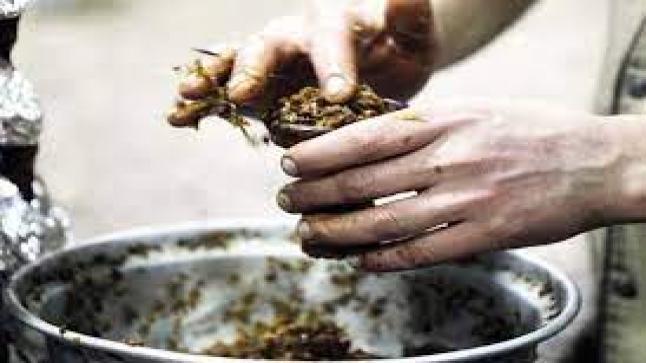 حيتان الدخان والمعسل يثيرون الرأي العام الأردني والإعلام ينقسم إلى فريقين