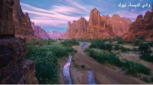 أماكن لا تصدق للزيارة في المملكة العربية السعودية من شأنها أن تبهرك!