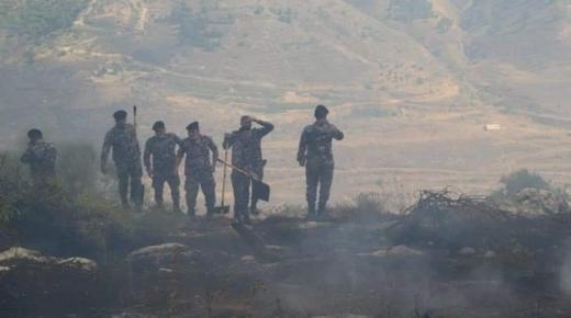 الدفاع المدني يخمد حريق 2500 دونم من الأعشاب الجافة والأشجار الحرجية والمثمرة في العاصمة