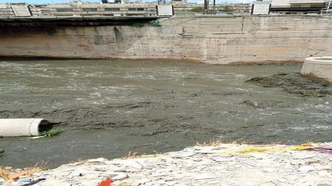 كارثة بيئية في لواء الرصيفة