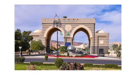 المدينة المنورة .. إطلاق النسخة الثانية من جائزة الخريجين الرواد بالجامعة الإسلامية